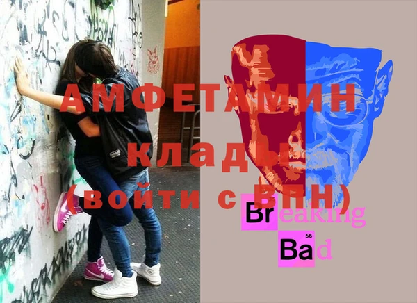 стаф Волосово